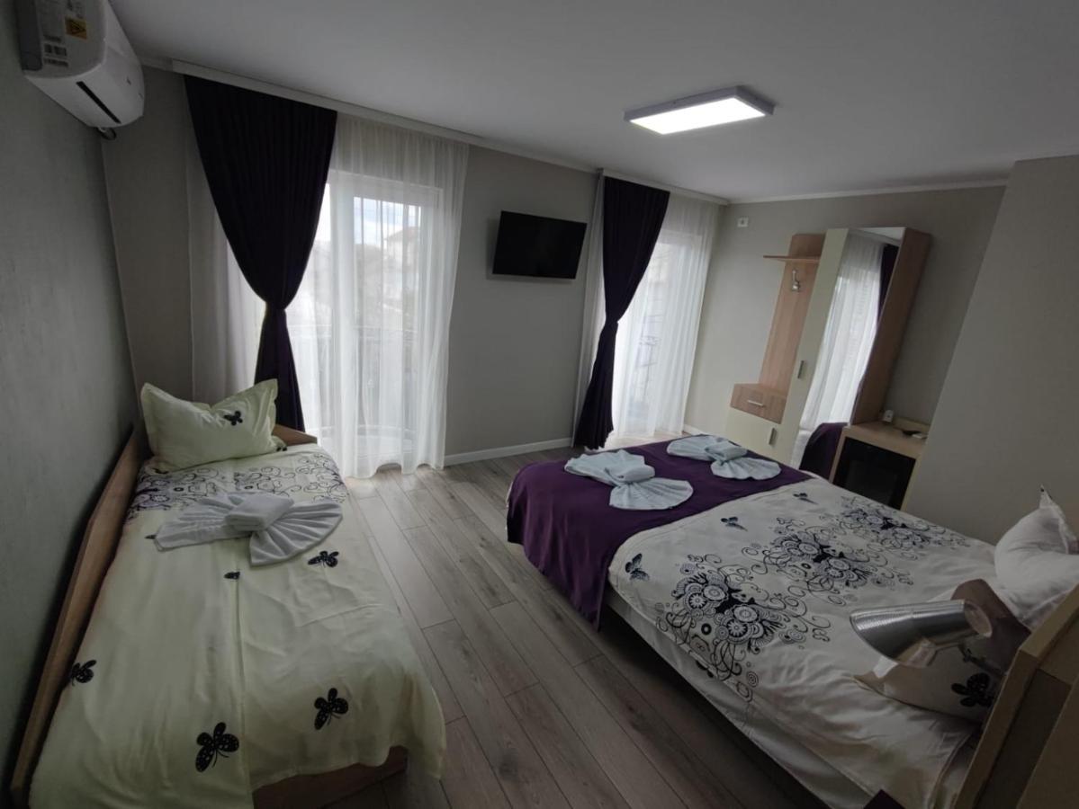 Gazde/Camere de închiriat Casa Martin