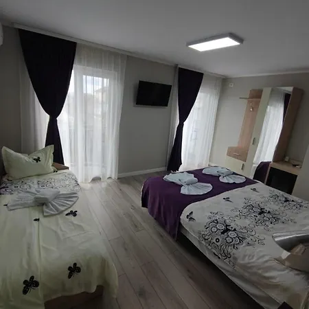 Casa Martin Apartment Sulina Room photo