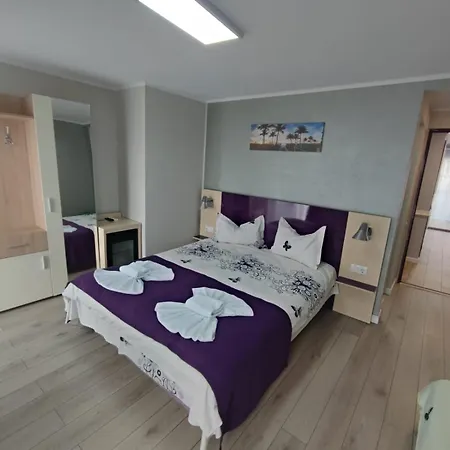 Casa Martin Apartment Sulina Room photo